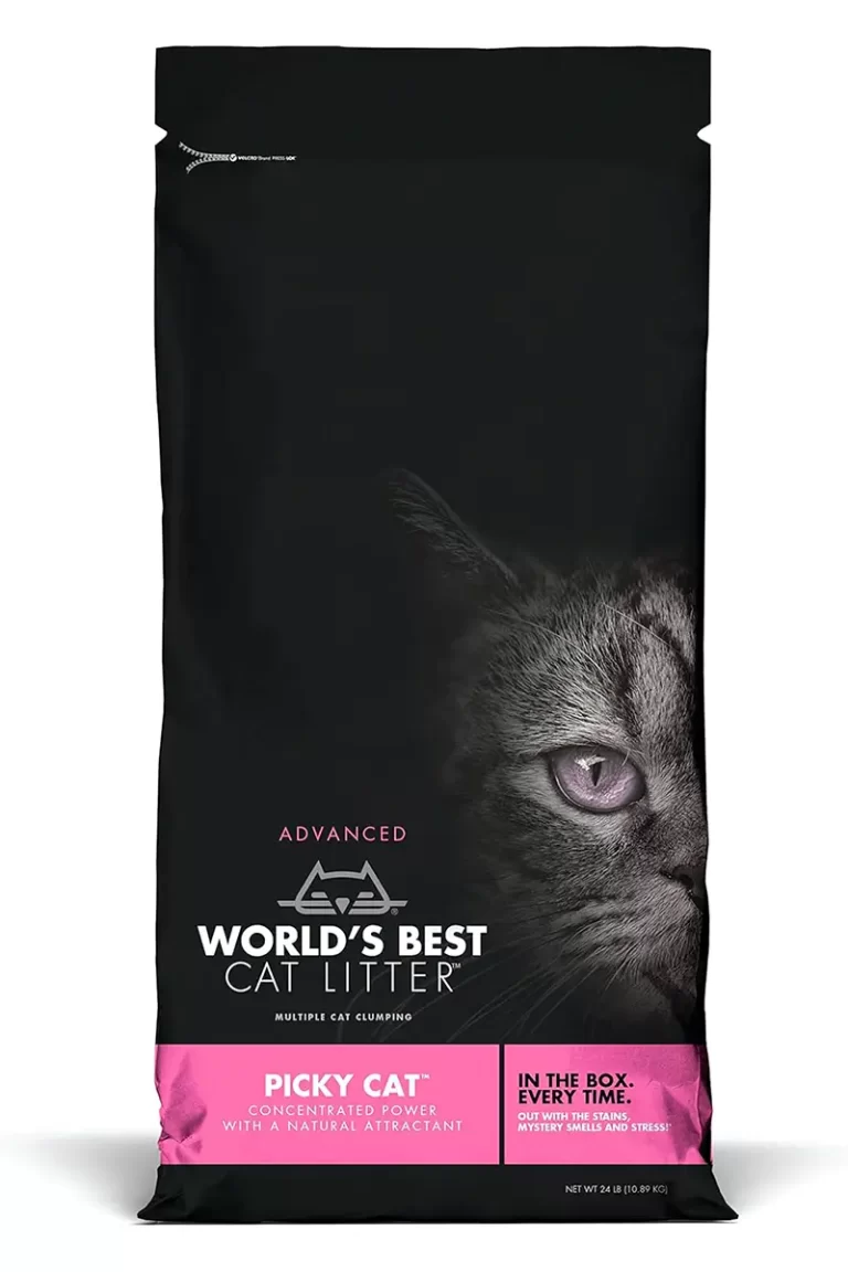 Lee más sobre el artículo World’s Best Cat Litter: Guía completa